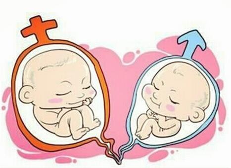 试管代怀生子助孕代妈